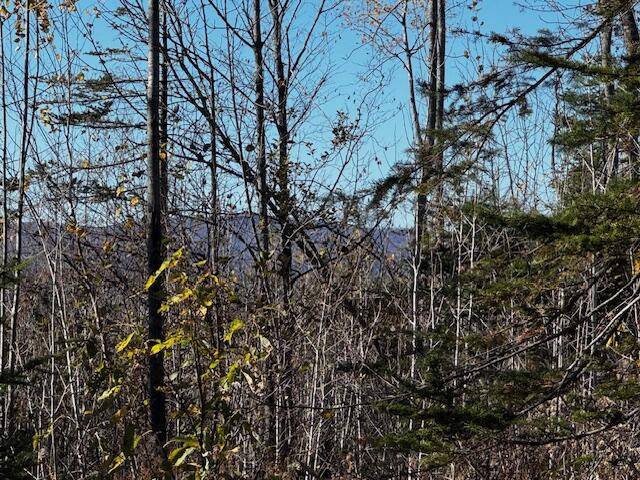 P/o M14 L80 Brighton Road Bingham ME 04920