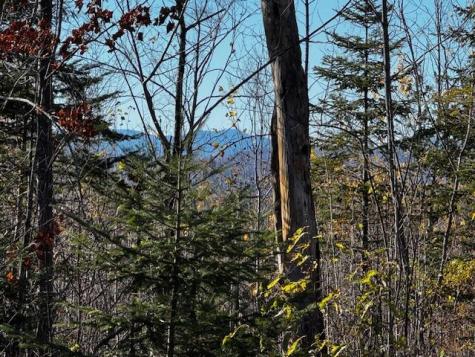 P/o M14 L80 Brighton Road Bingham ME 04920