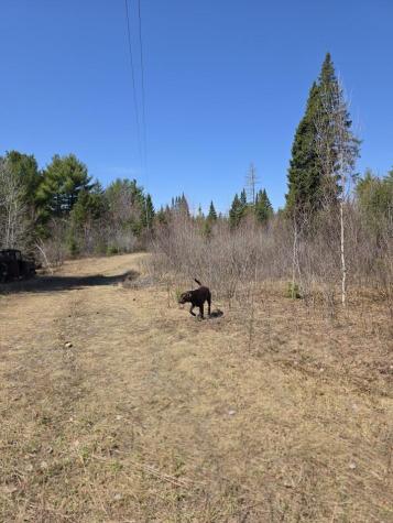 131 A River Road Oakfield ME 04763