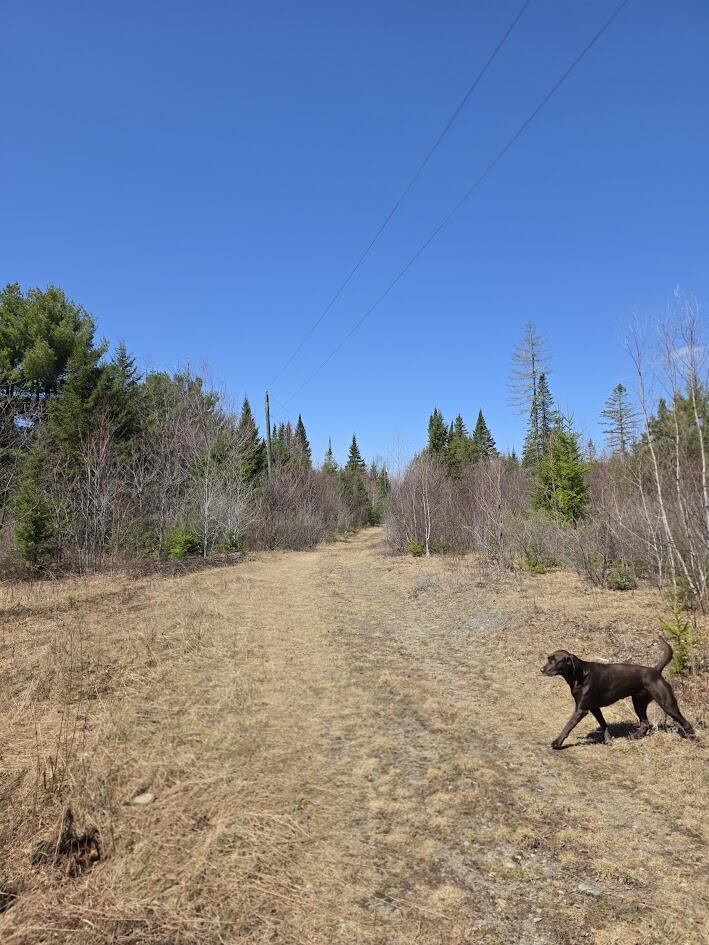 131 A River Road Oakfield ME 04763