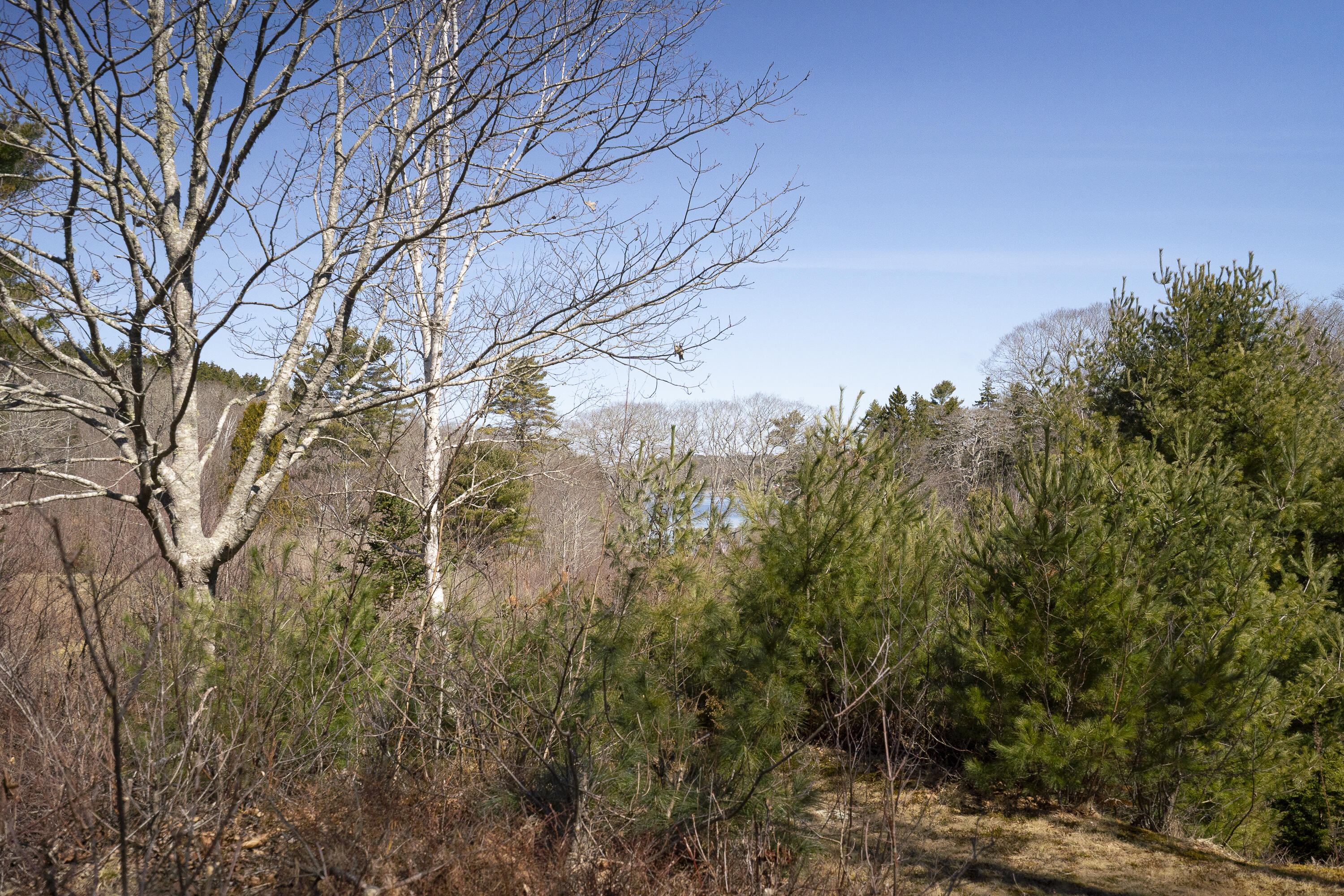 P/o 4-1 Cameron Point Road Southport ME 04576