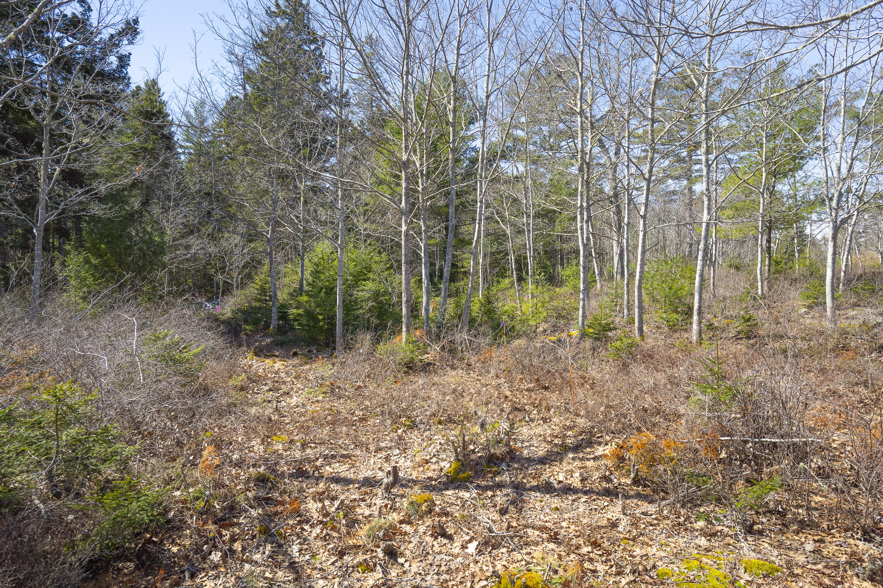 P/o 4-1 Cameron Point Road Southport ME 04576