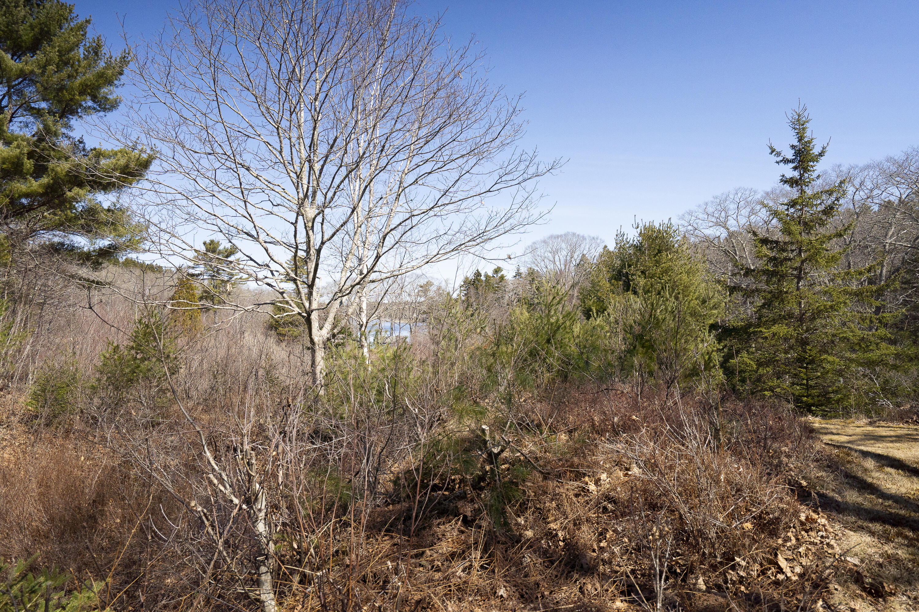 P/o 4-1 Cameron Point Road Southport ME 04576