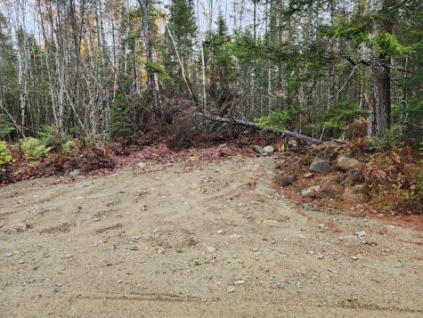 4601 B Airline Road Wesley ME 04686