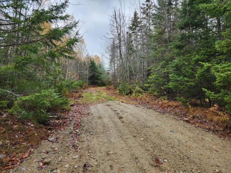 4601 B Airline Road Wesley ME 04686