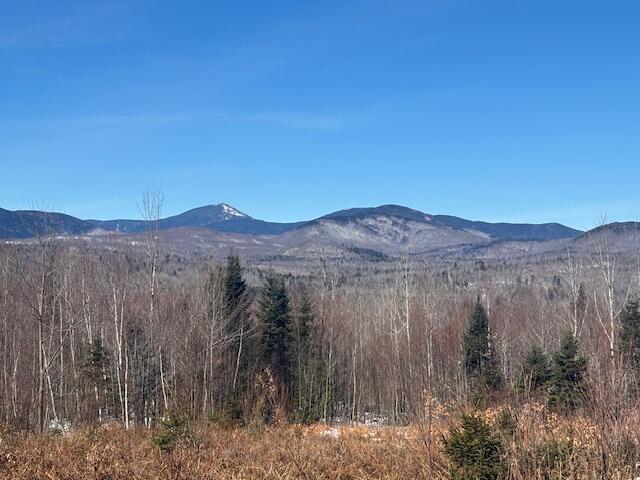 Lot #20 Hollis Drive (eagle Ridge) Road Kingfield ME 04947