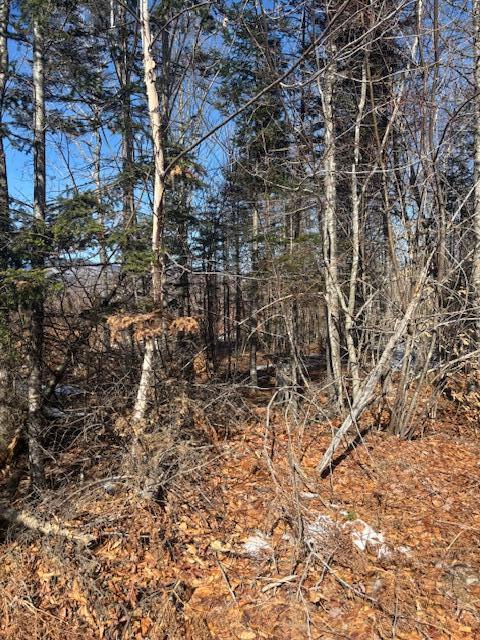 Lot #20 Hollis Drive (eagle Ridge) Road Kingfield ME 04947