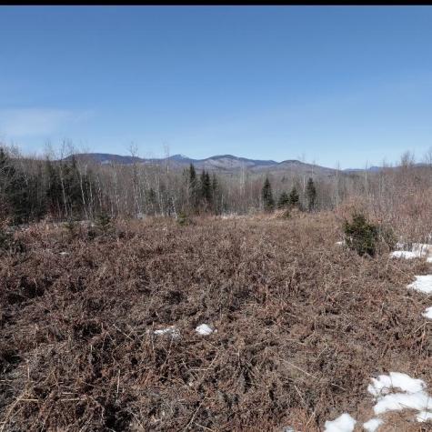 Lot #20 Hollis Drive (eagle Ridge) Road Kingfield ME 04947