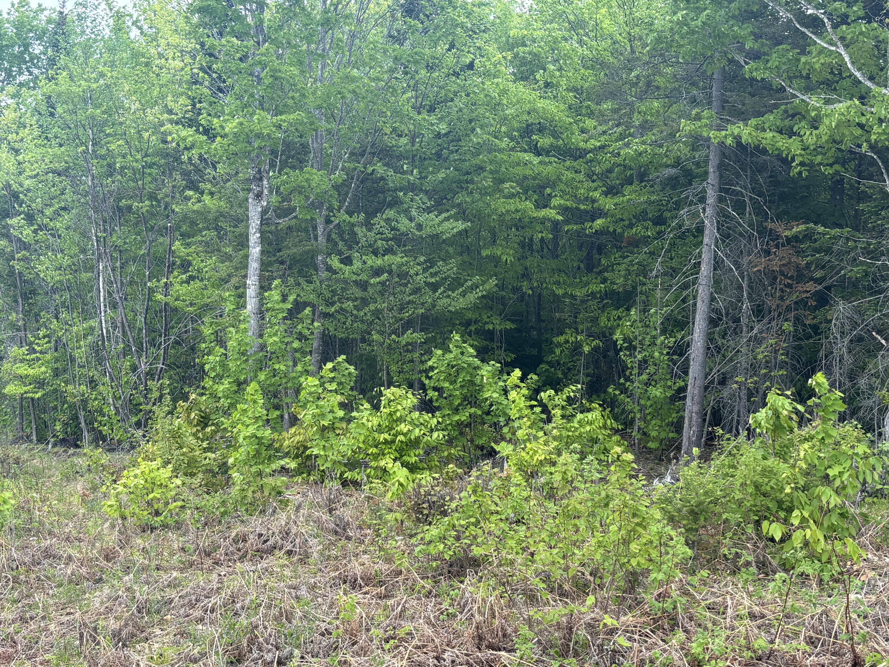 Lot #20 Hollis Drive (eagle Ridge) Road Kingfield ME 04947