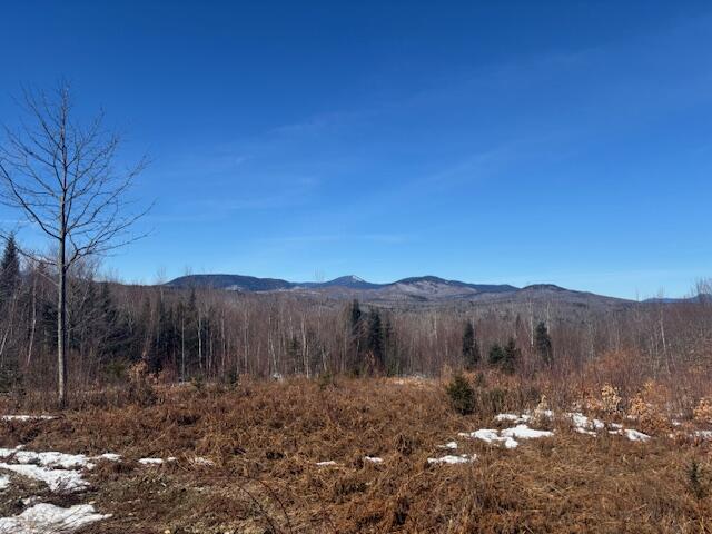 Lot #20 Hollis Drive (eagle Ridge) Road Kingfield ME 04947