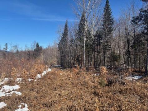 Lot #20 Hollis Drive (eagle Ridge) Road Kingfield ME 04947