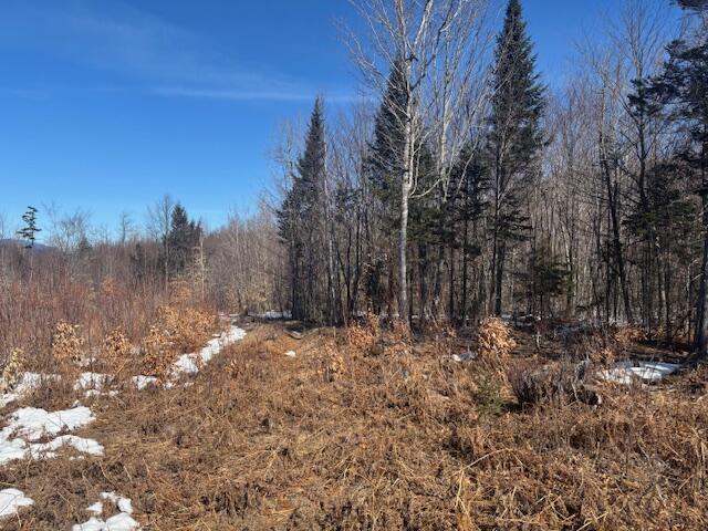 Lot #20 Hollis Drive (eagle Ridge) Road Kingfield ME 04947