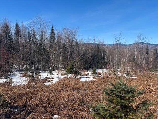 Lot #20 Hollis Drive (eagle Ridge) Road Kingfield ME 04947