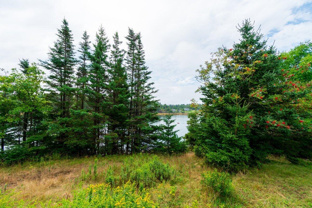 Lot 1 Thomas Road North Haven ME 04853