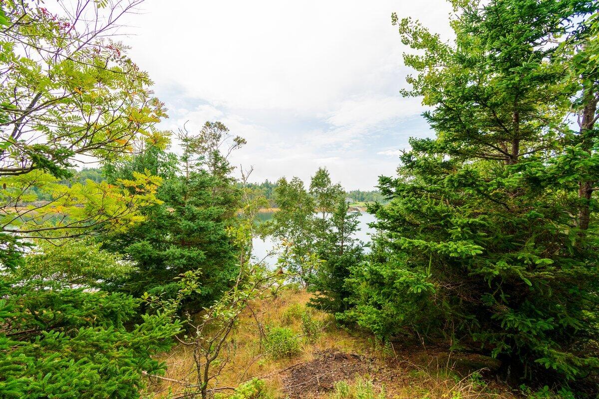 Lot 1 Thomas Road North Haven ME 04853