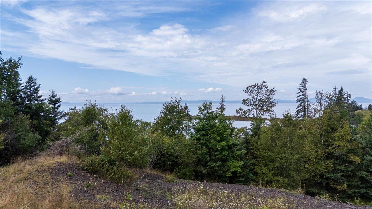 Lot 1 Thomas Road North Haven ME 04853