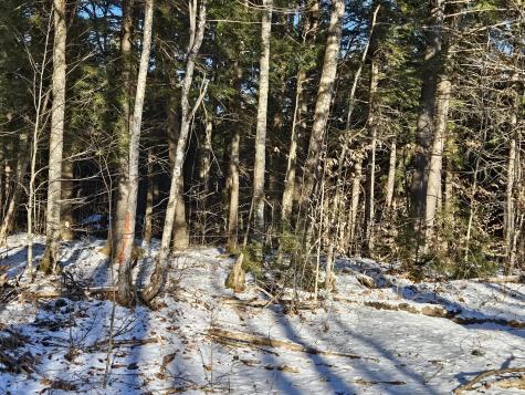 Lot 32 Alder Hill Road Brownville ME 04414