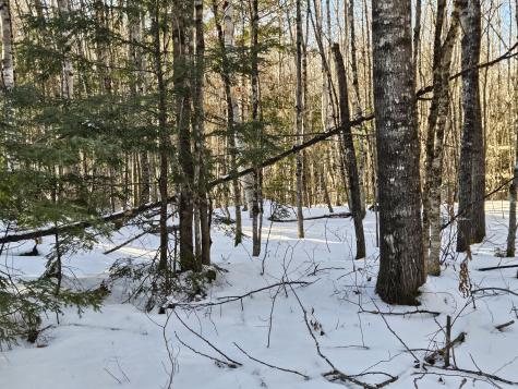 Lot 32 Alder Hill Road Brownville ME 04414