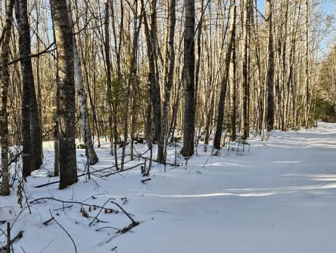 Lot 32 Alder Hill Road Brownville ME 04414