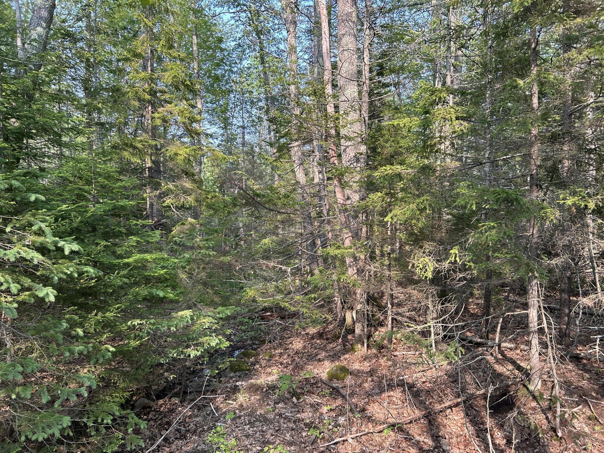 M6L53 Bristol Road Bristol ME 04539