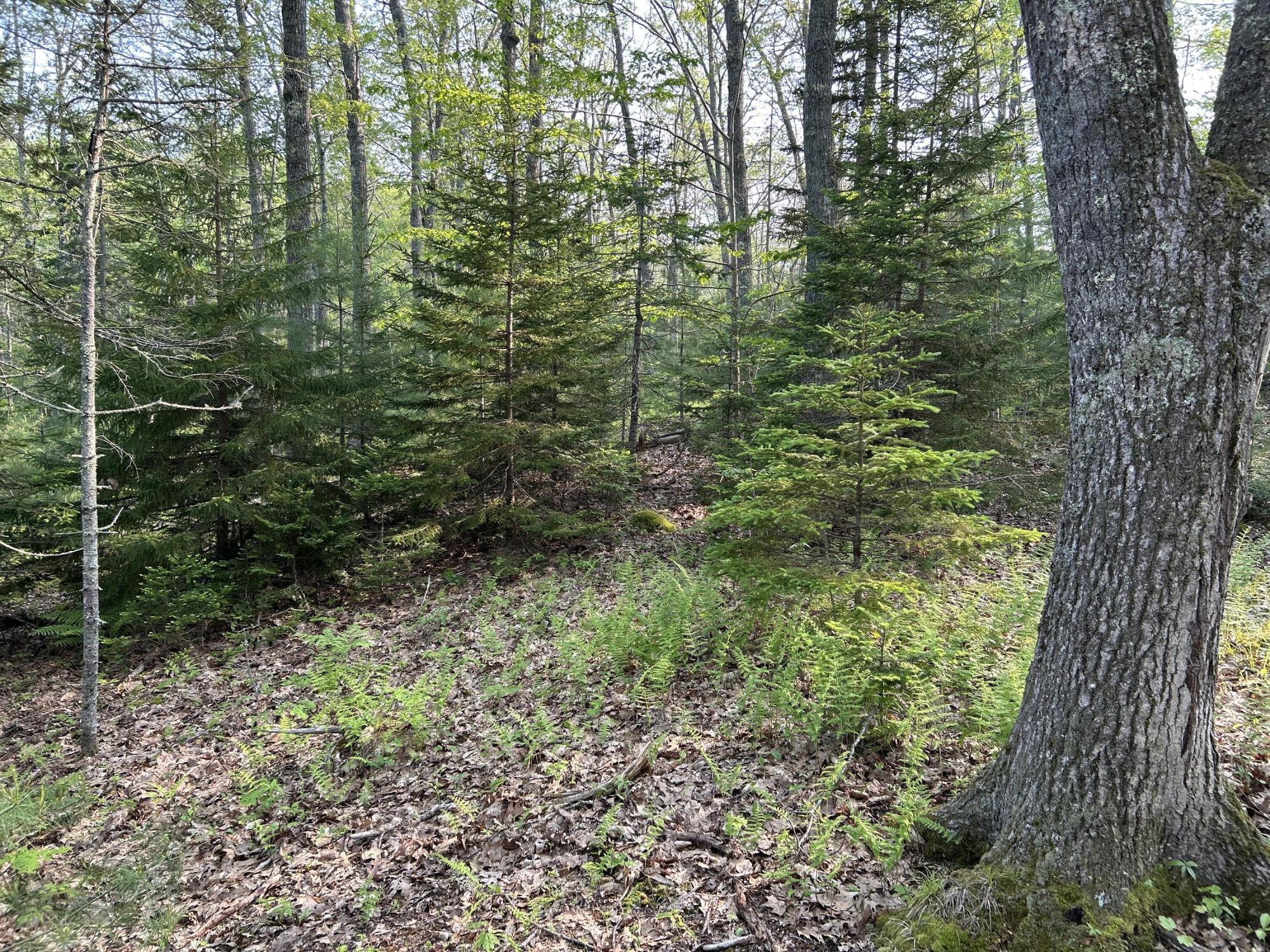 M6L53 Bristol Road Bristol ME 04539