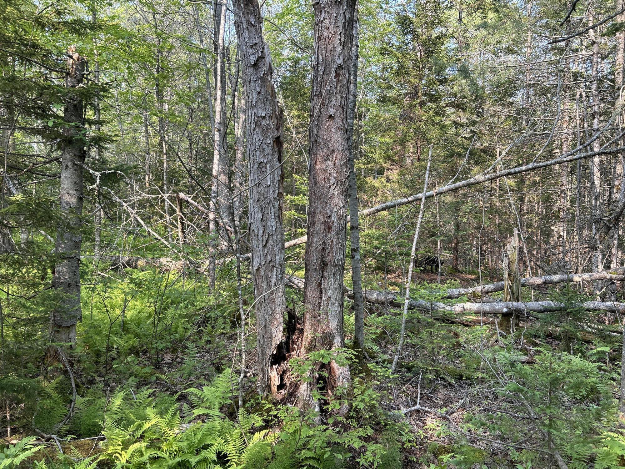 M6L53 Bristol Road Bristol ME 04539