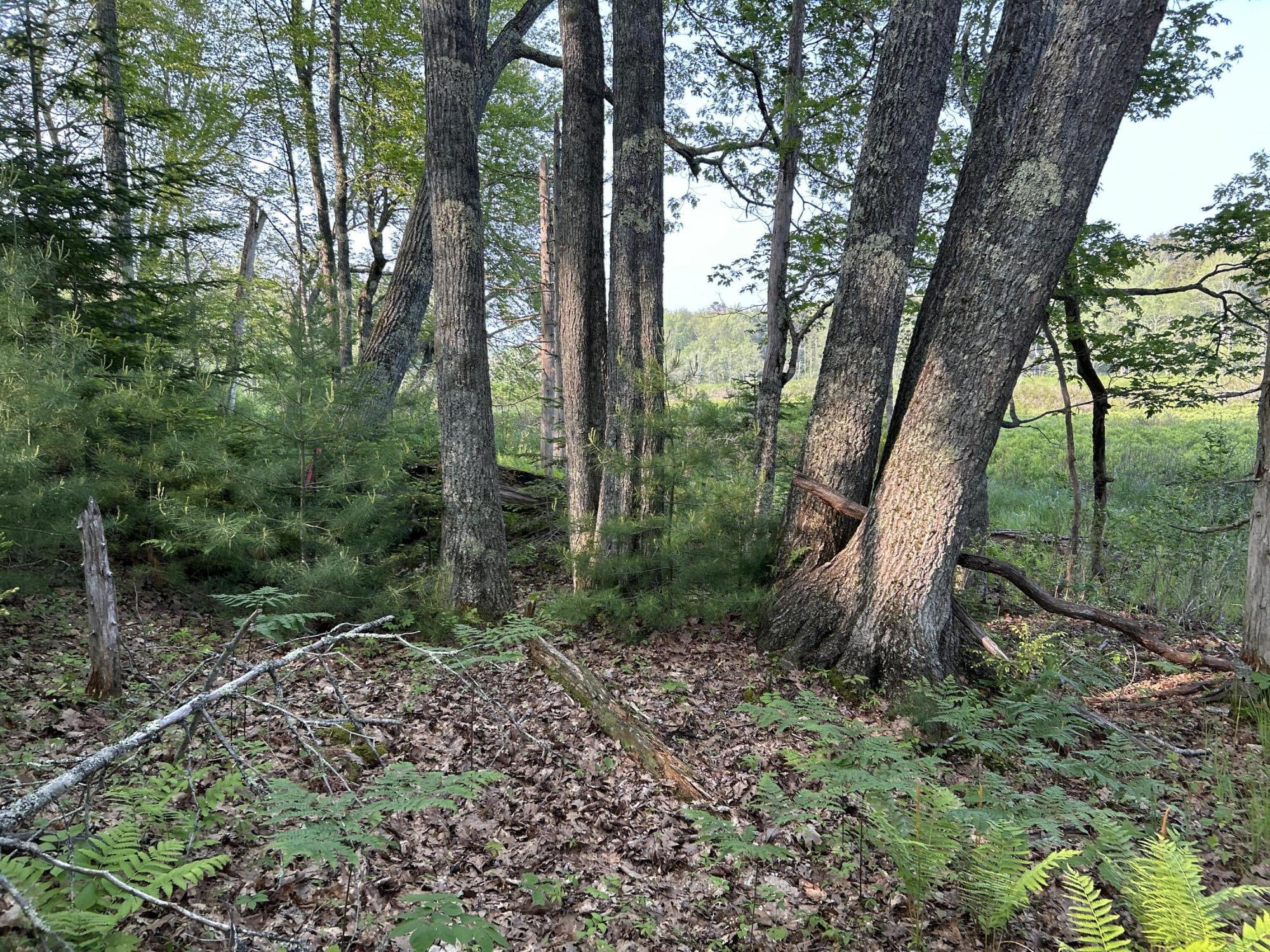 M6L53 Bristol Road Bristol ME 04539