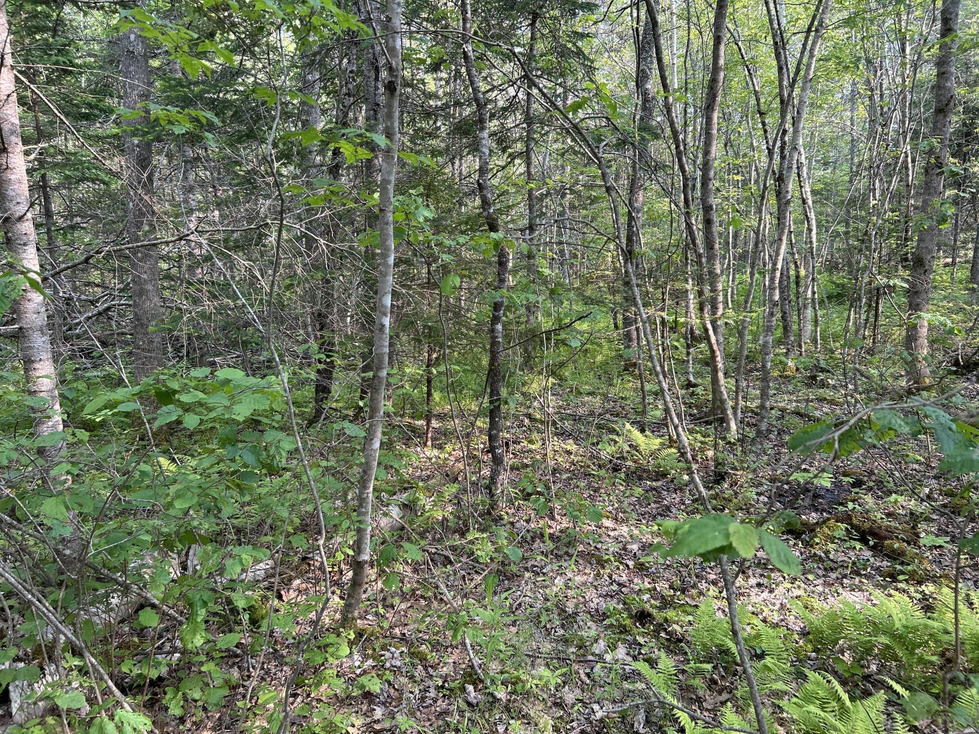 M6L53 Bristol Road Bristol ME 04539