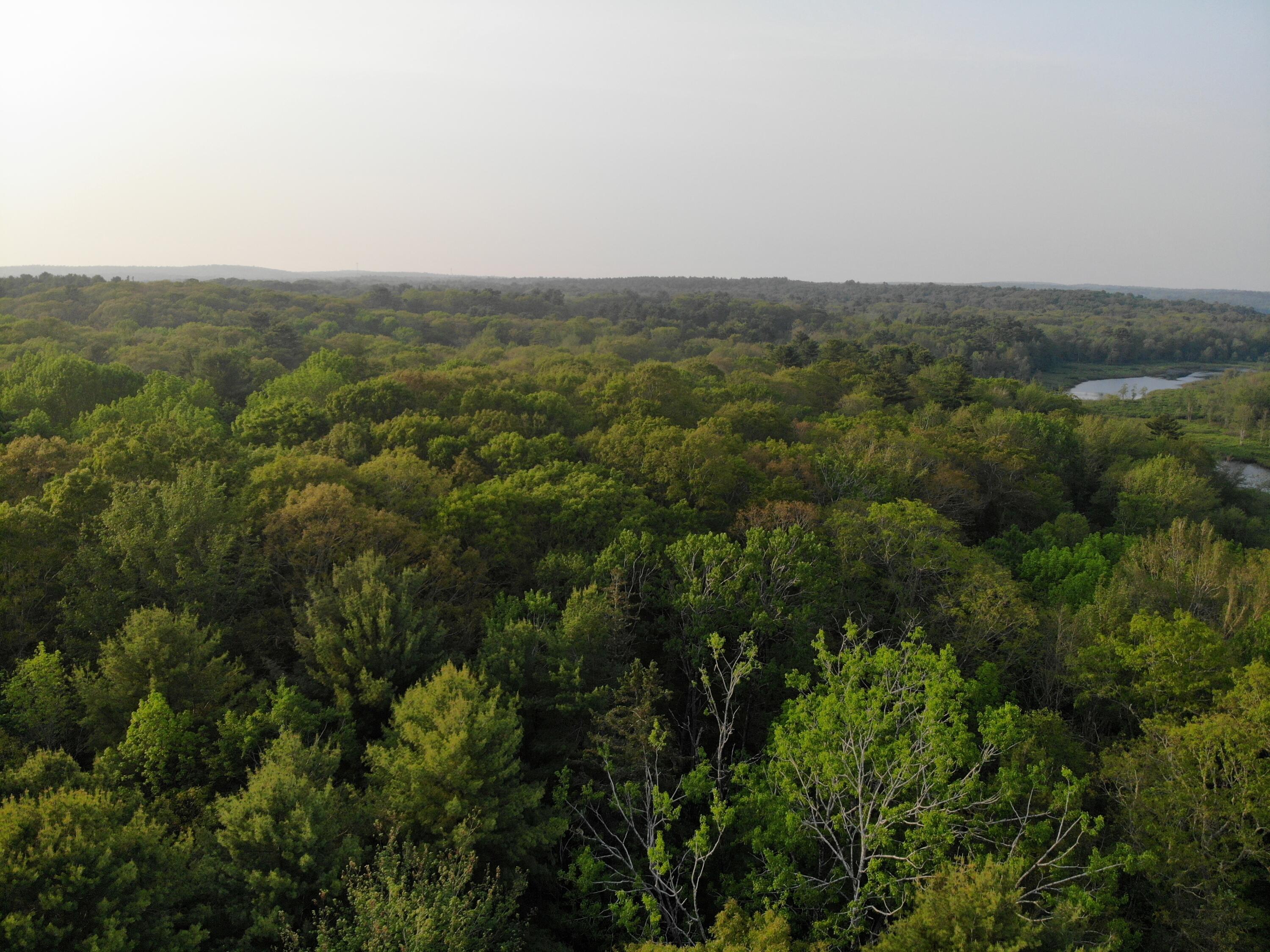 M6L53 Bristol Road Bristol ME 04539