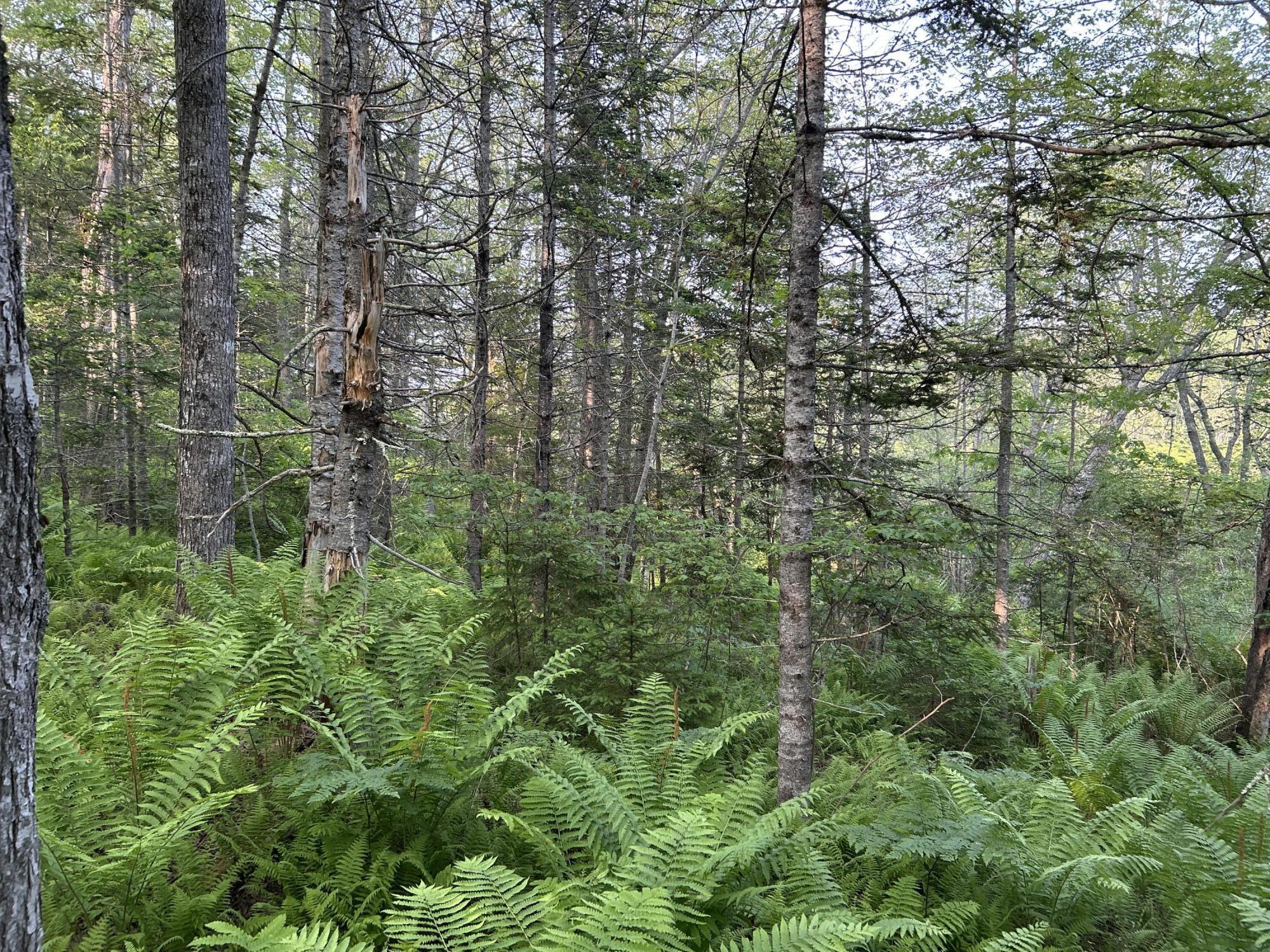 M6L53 Bristol Road Bristol ME 04539