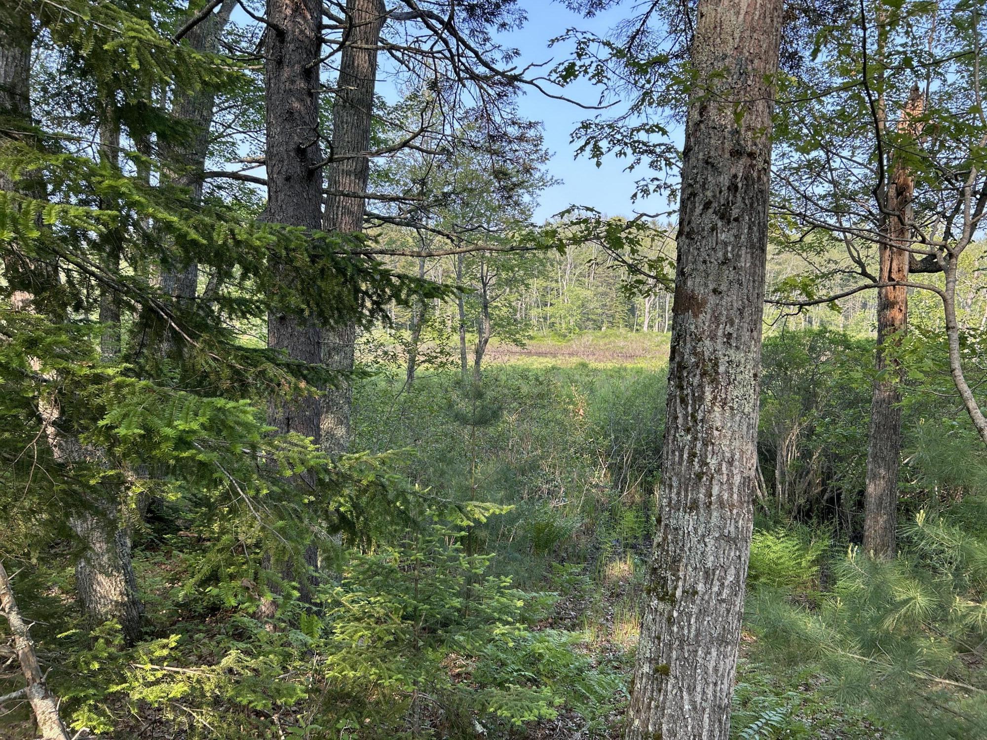 M6L53 Bristol Road Bristol ME 04539