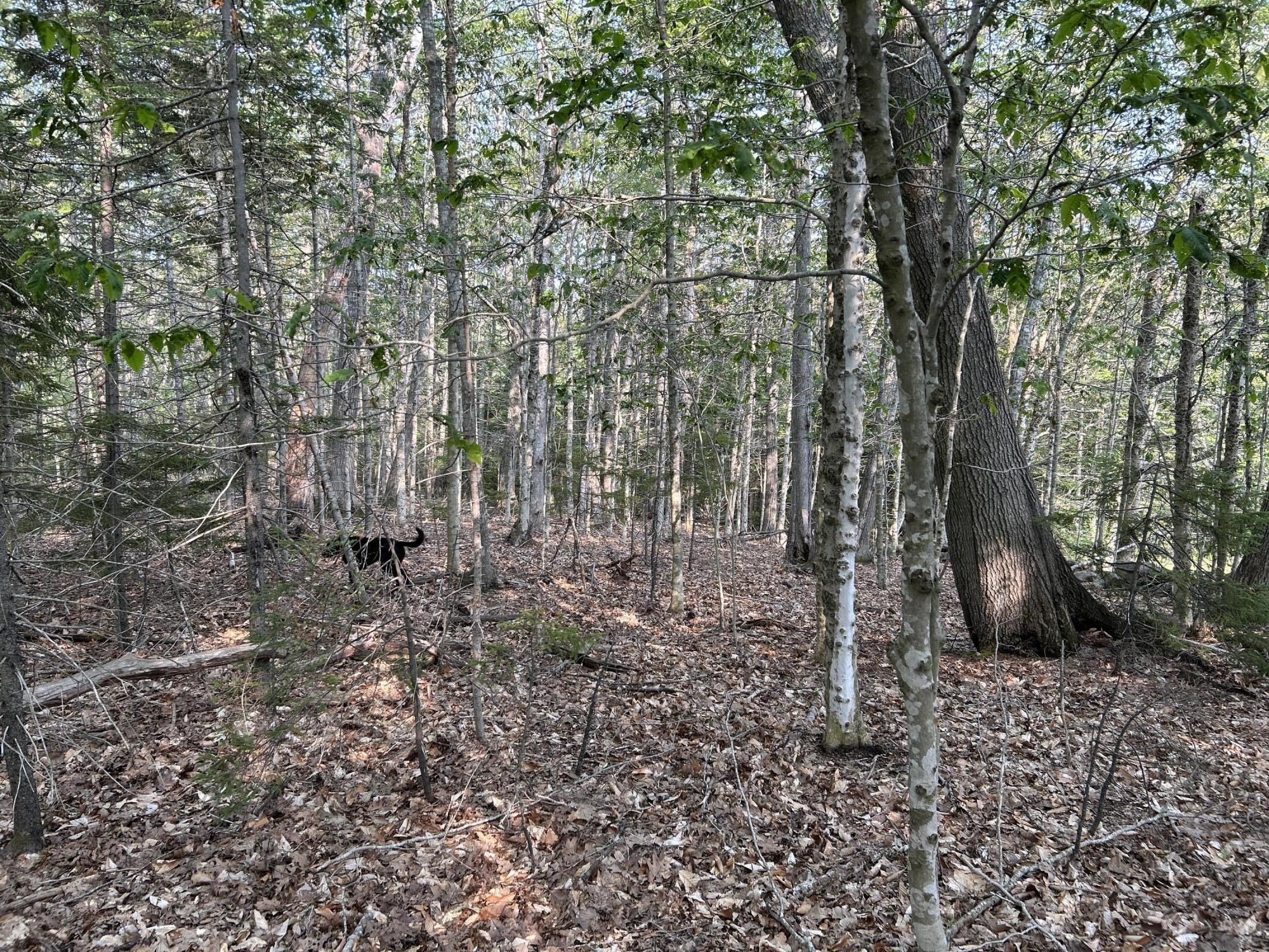 M6L53 Bristol Road Bristol ME 04539