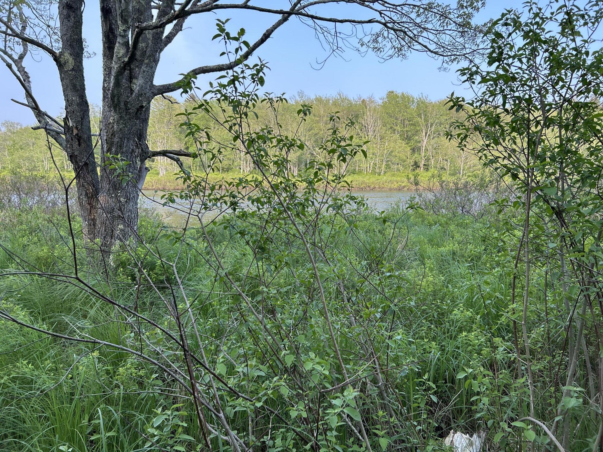 M6L53 Bristol Road Bristol ME 04539