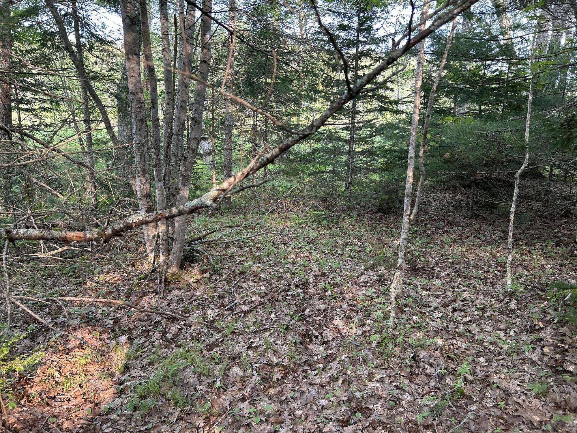 M6L53 Bristol Road Bristol ME 04539