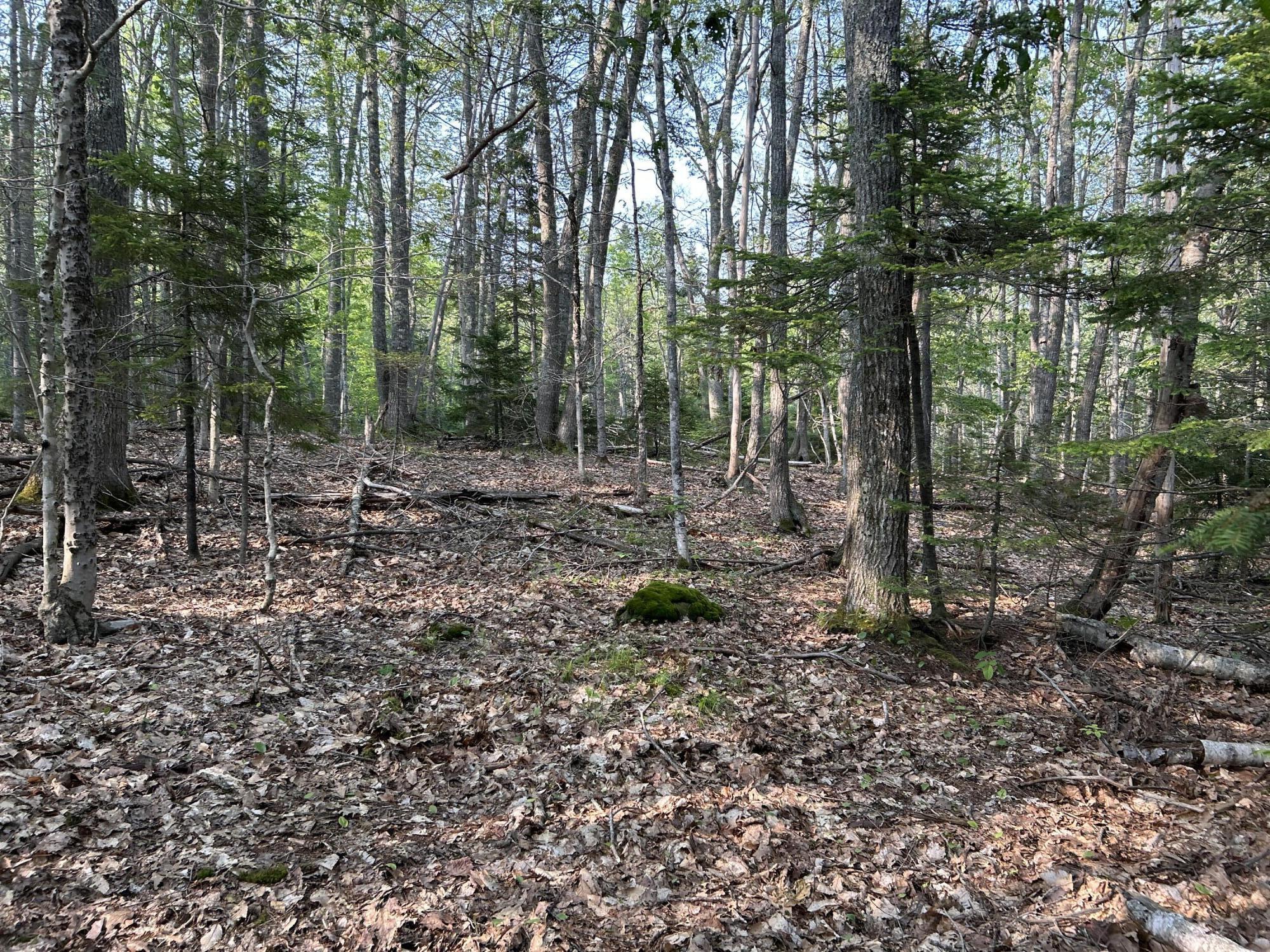 M6L53 Bristol Road Bristol ME 04539