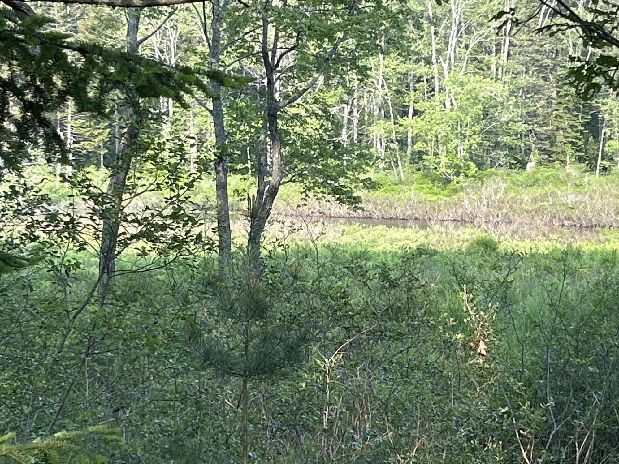 M6L53 Bristol Road Bristol ME 04539