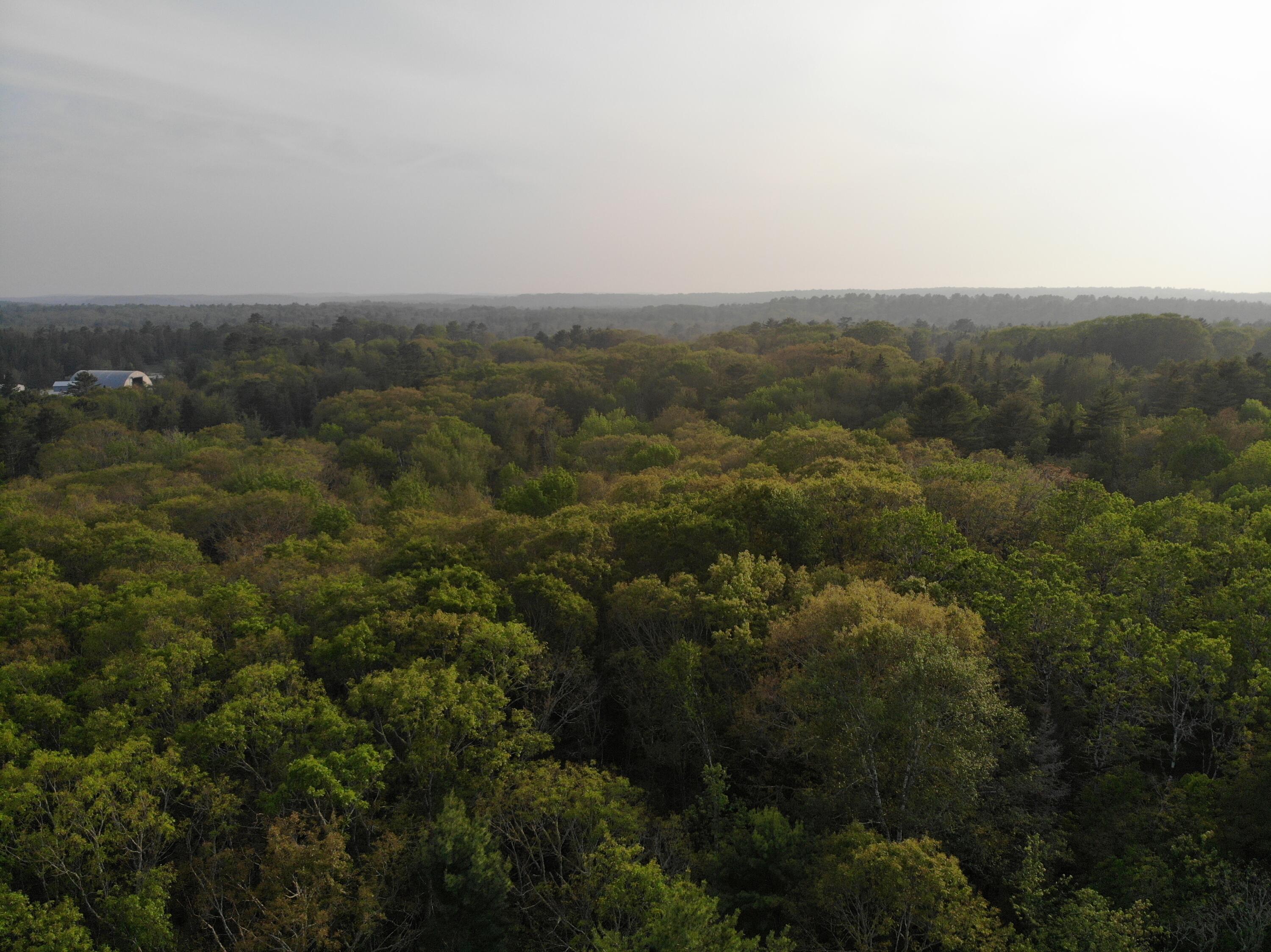 M6L53 Bristol Road Bristol ME 04539