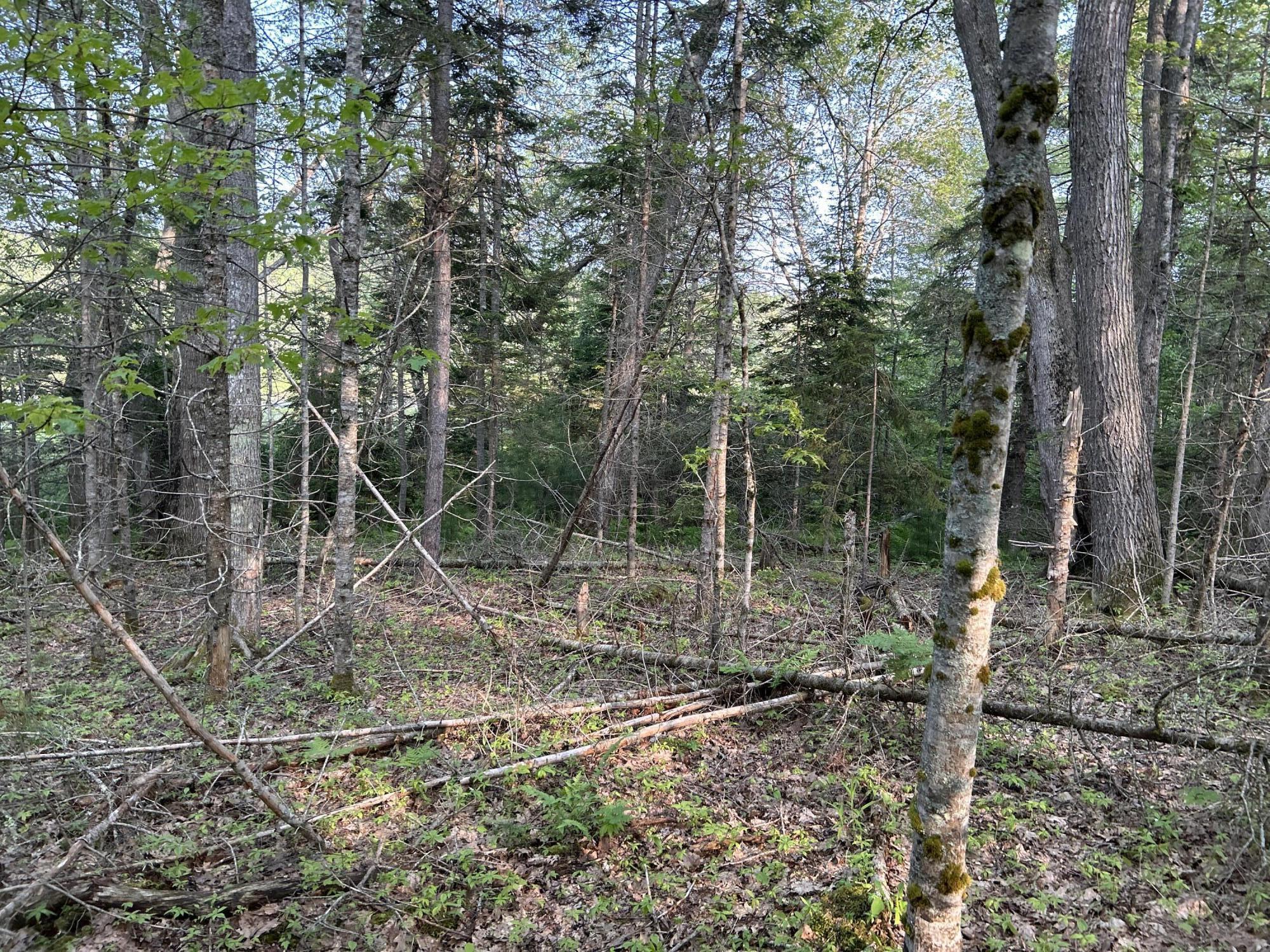 M6L53 Bristol Road Bristol ME 04539