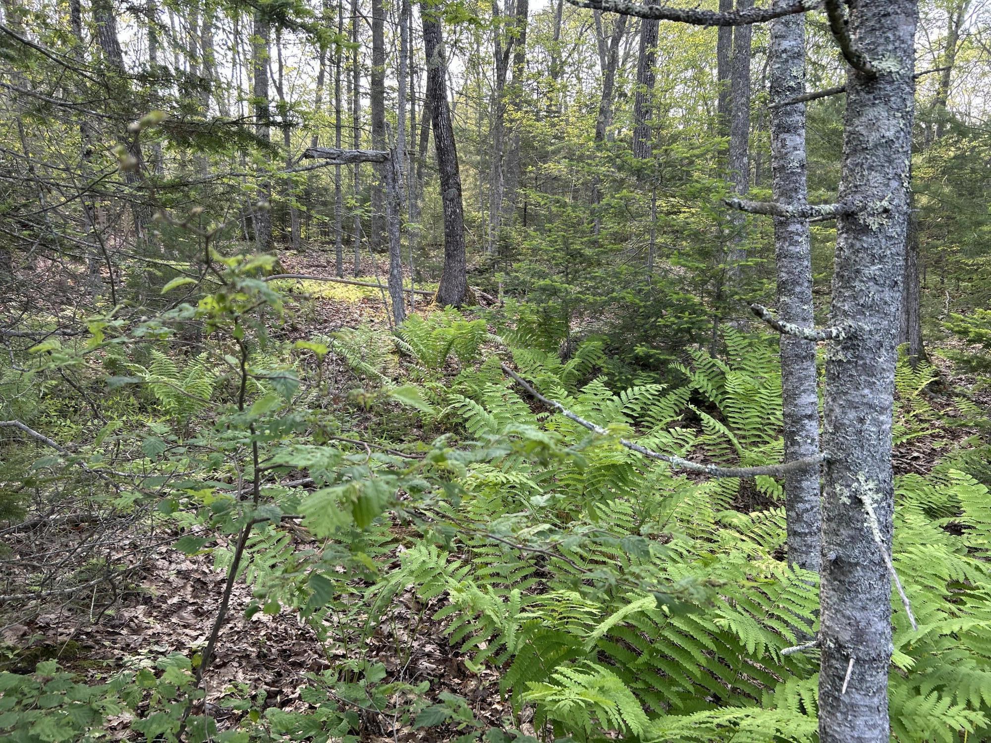 M6L53 Bristol Road Bristol ME 04539