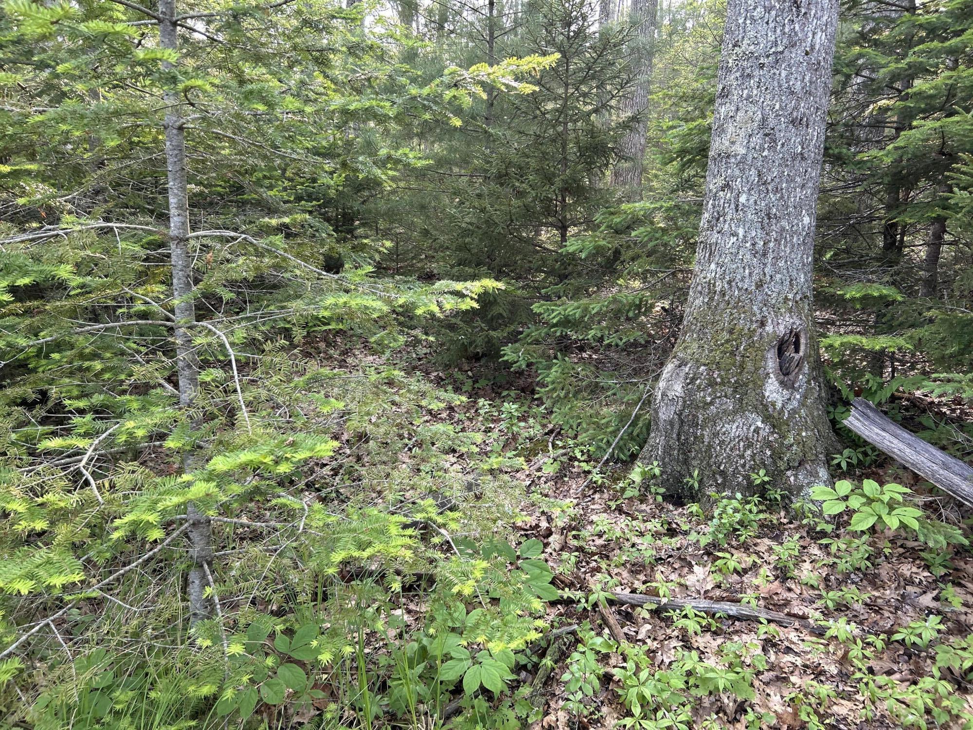 M6L53 Bristol Road Bristol ME 04539