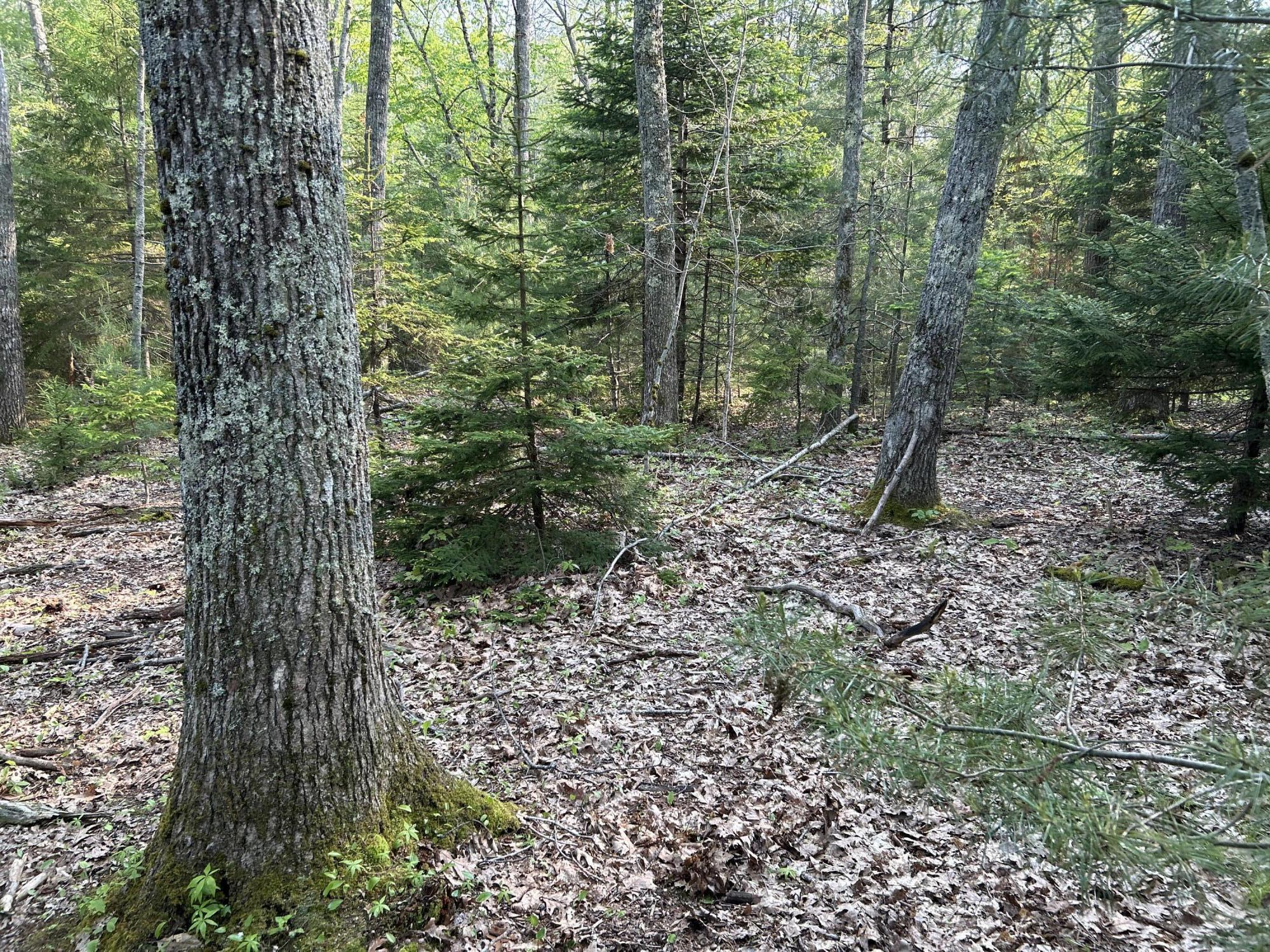 M6L53 Bristol Road Bristol ME 04539