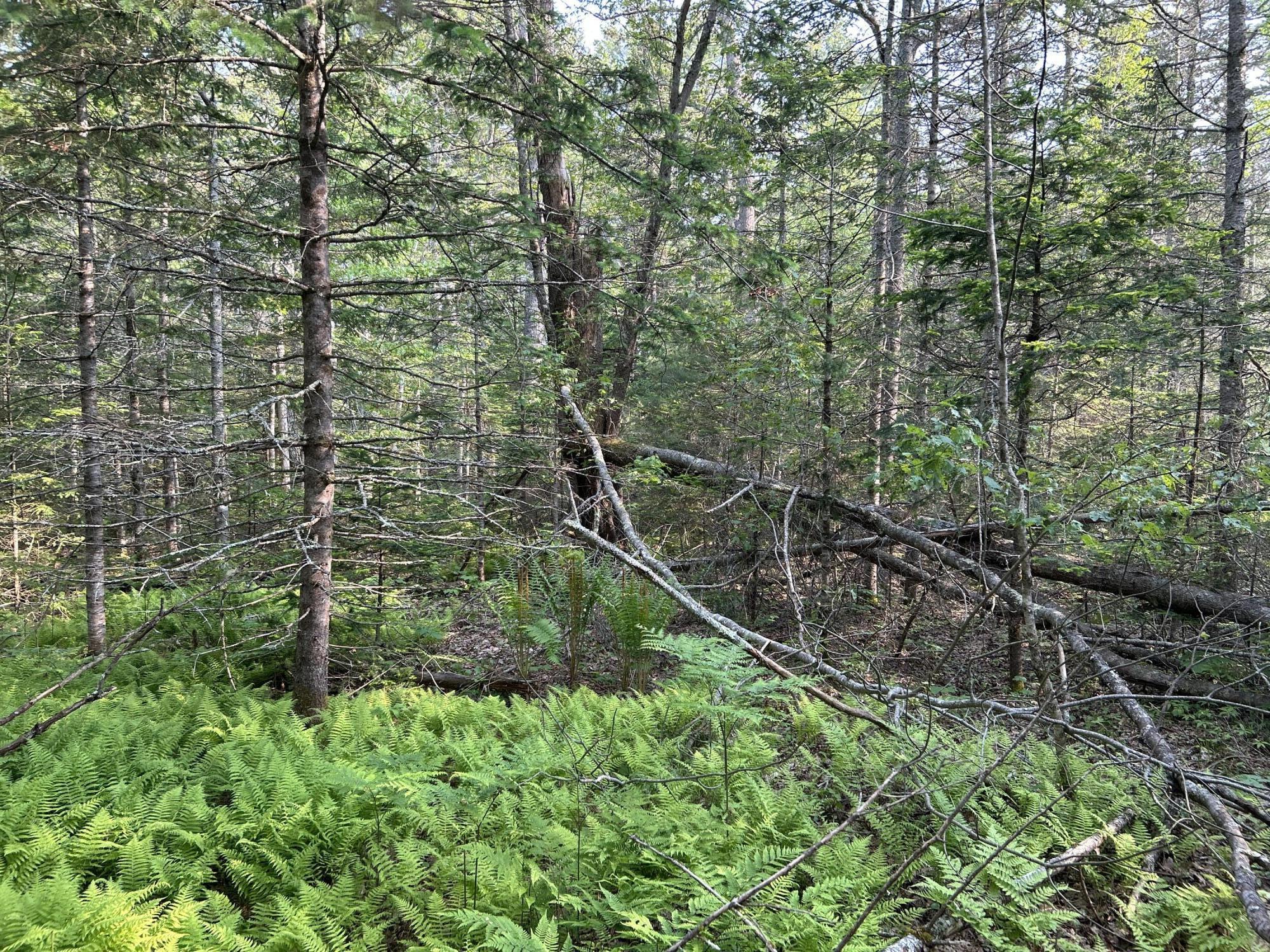 M6L53 Bristol Road Bristol ME 04539