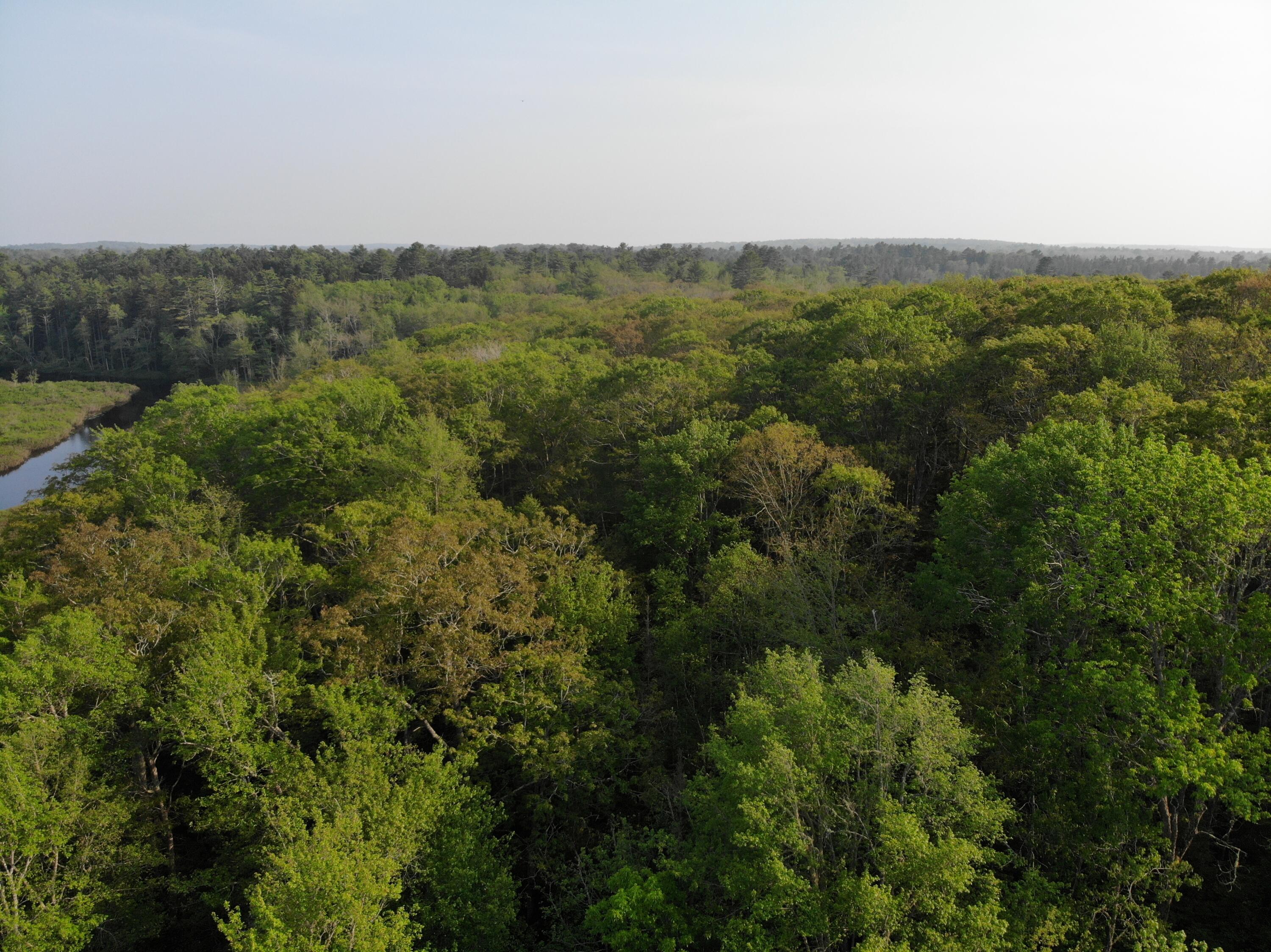 M6L53 Bristol Road Bristol ME 04539