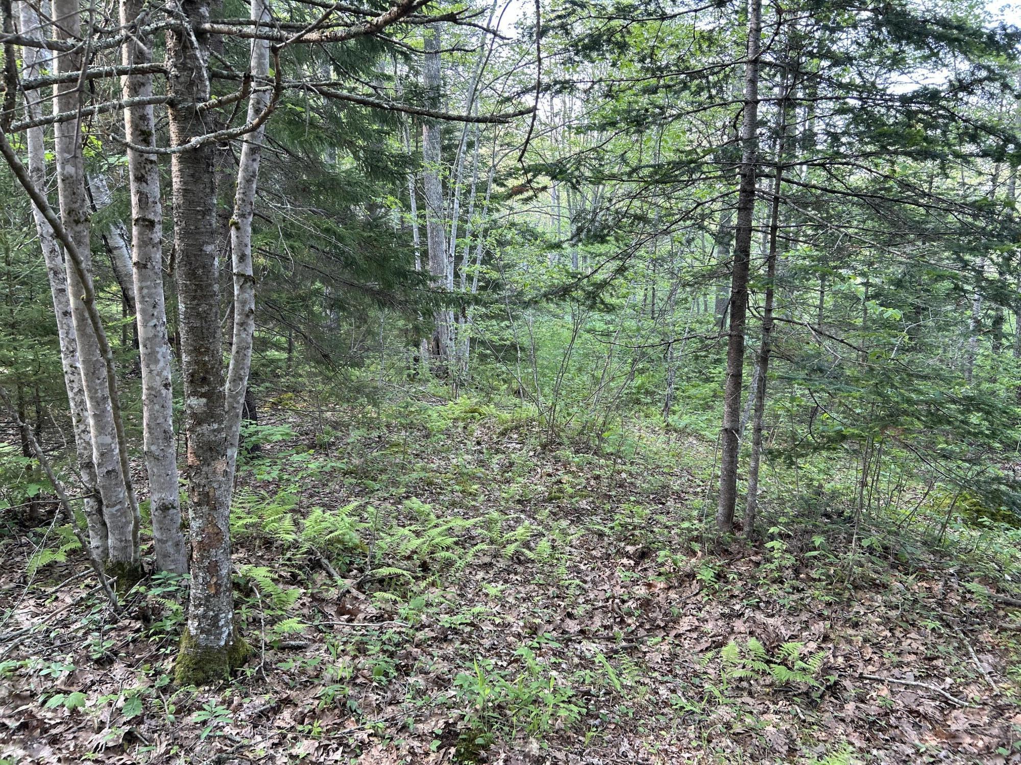 M6L53 Bristol Road Bristol ME 04539