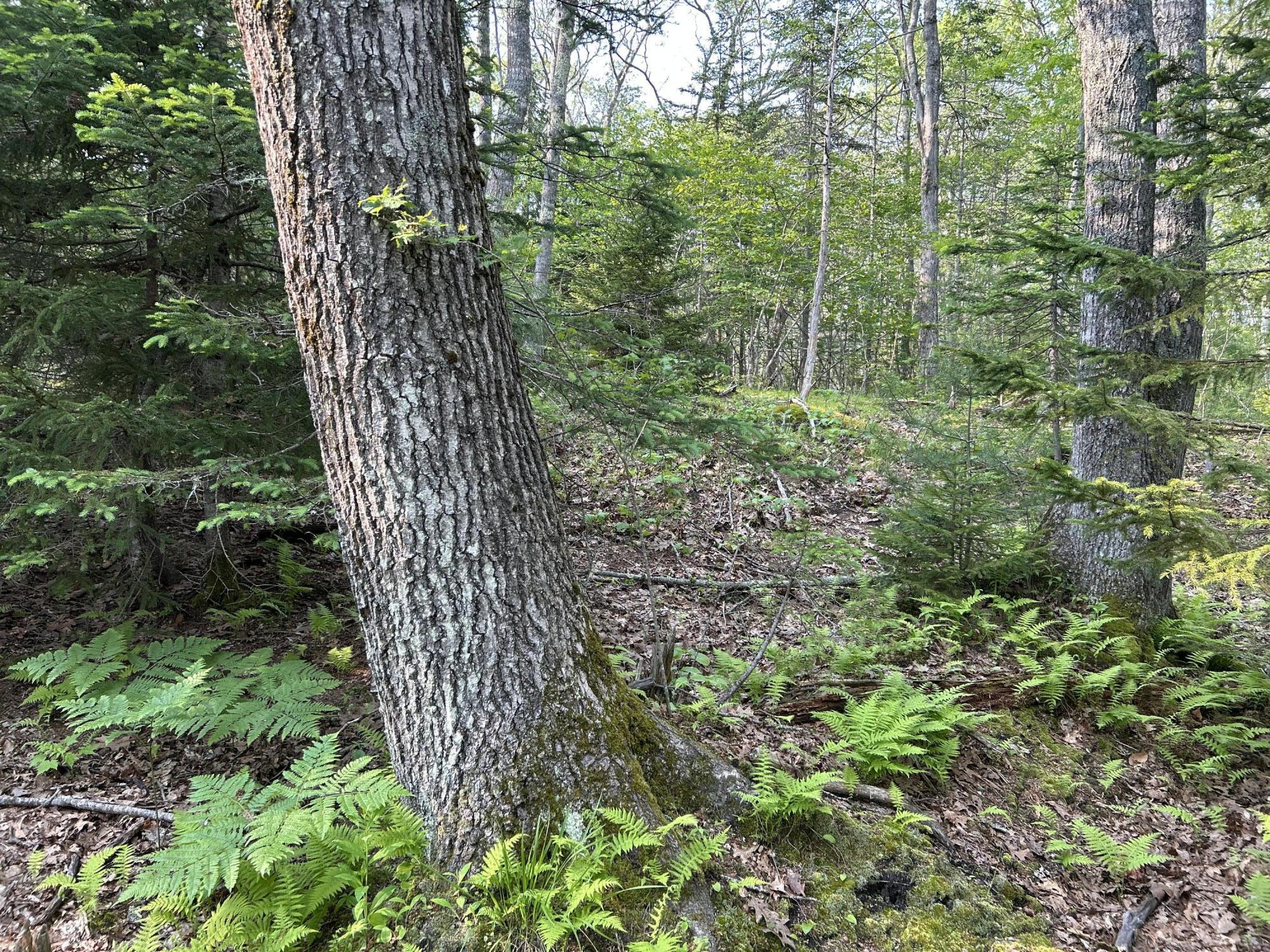 M6L53 Bristol Road Bristol ME 04539