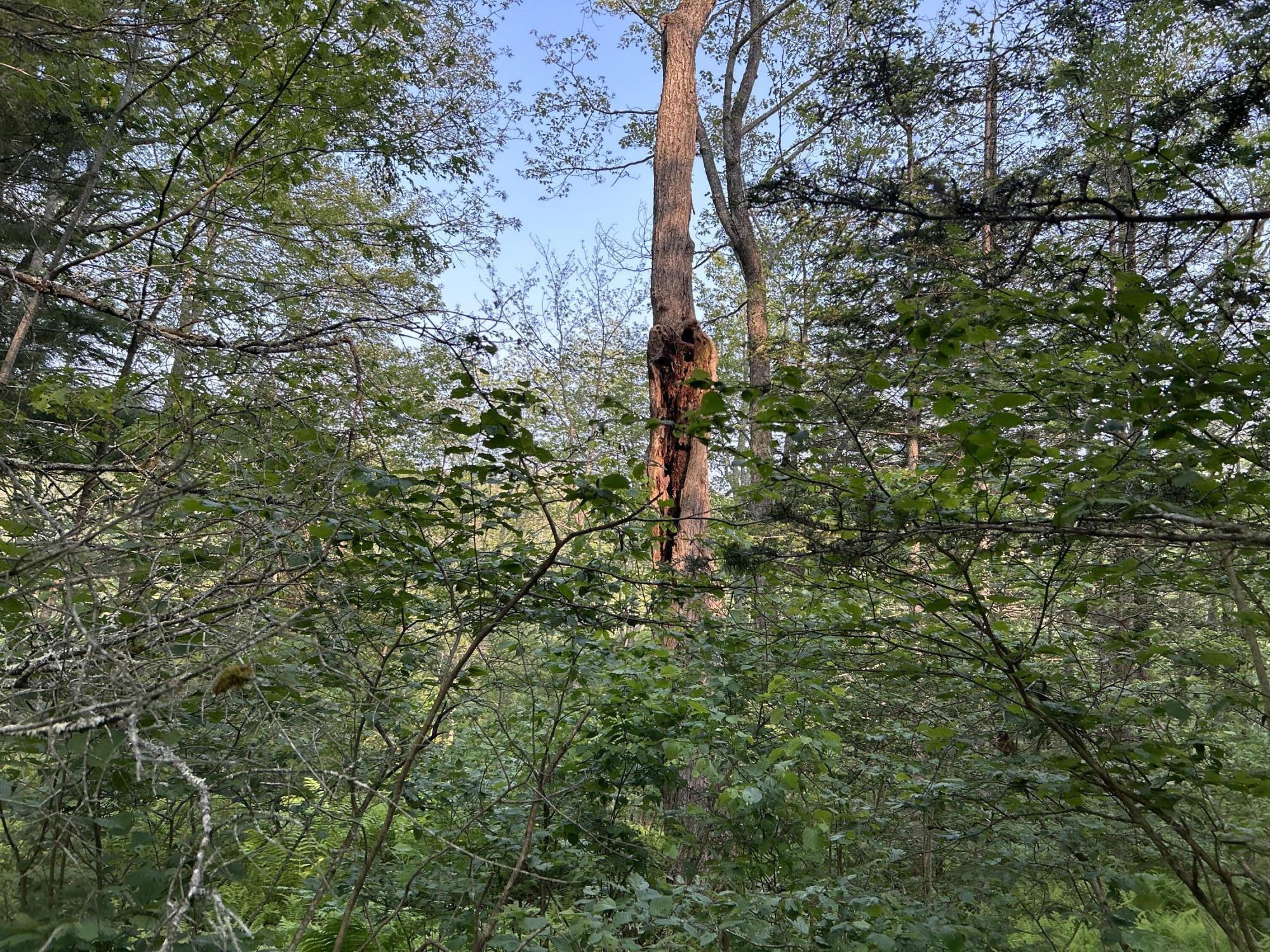 M6L53 Bristol Road Bristol ME 04539