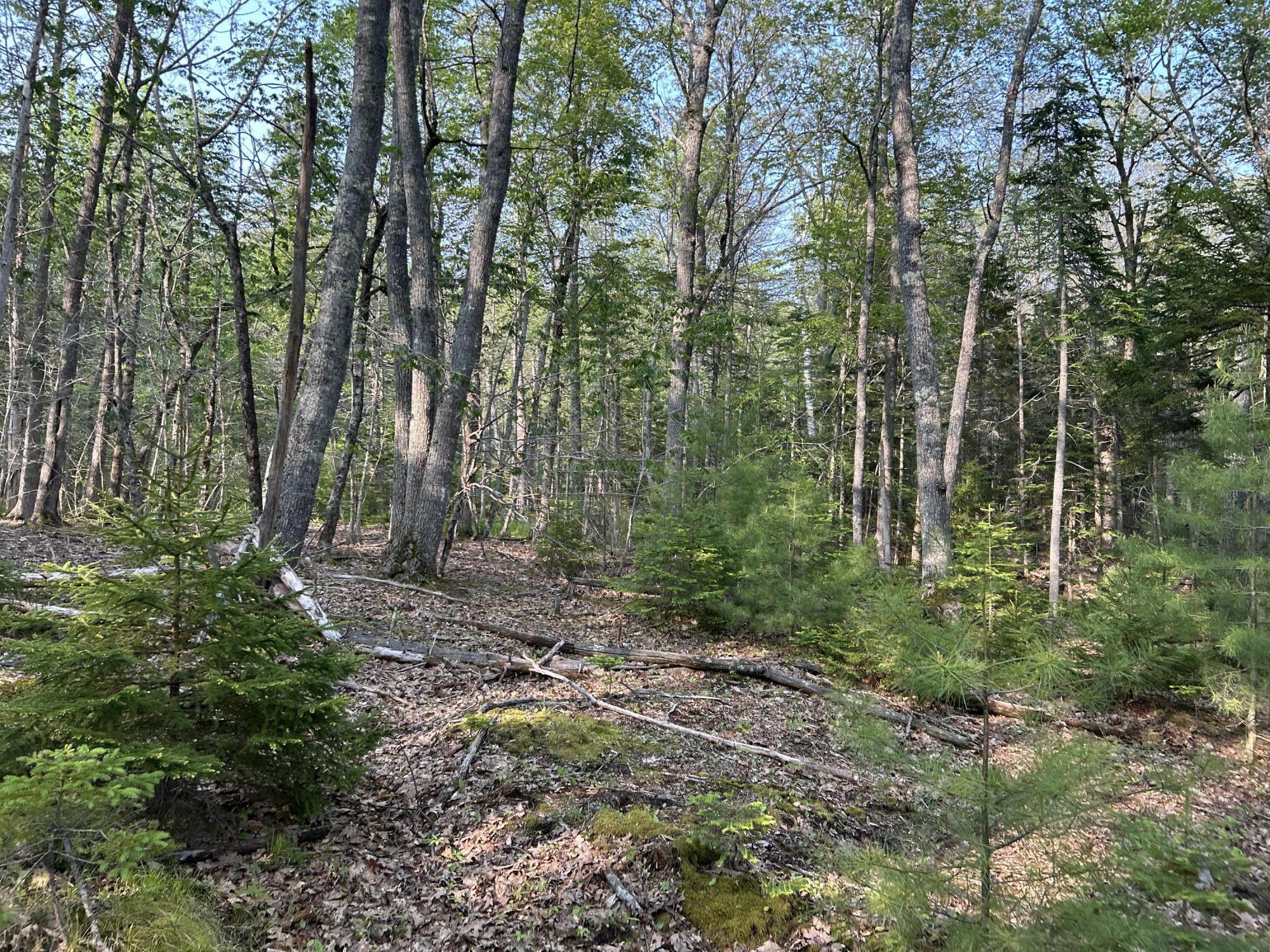 M6L53 Bristol Road Bristol ME 04539