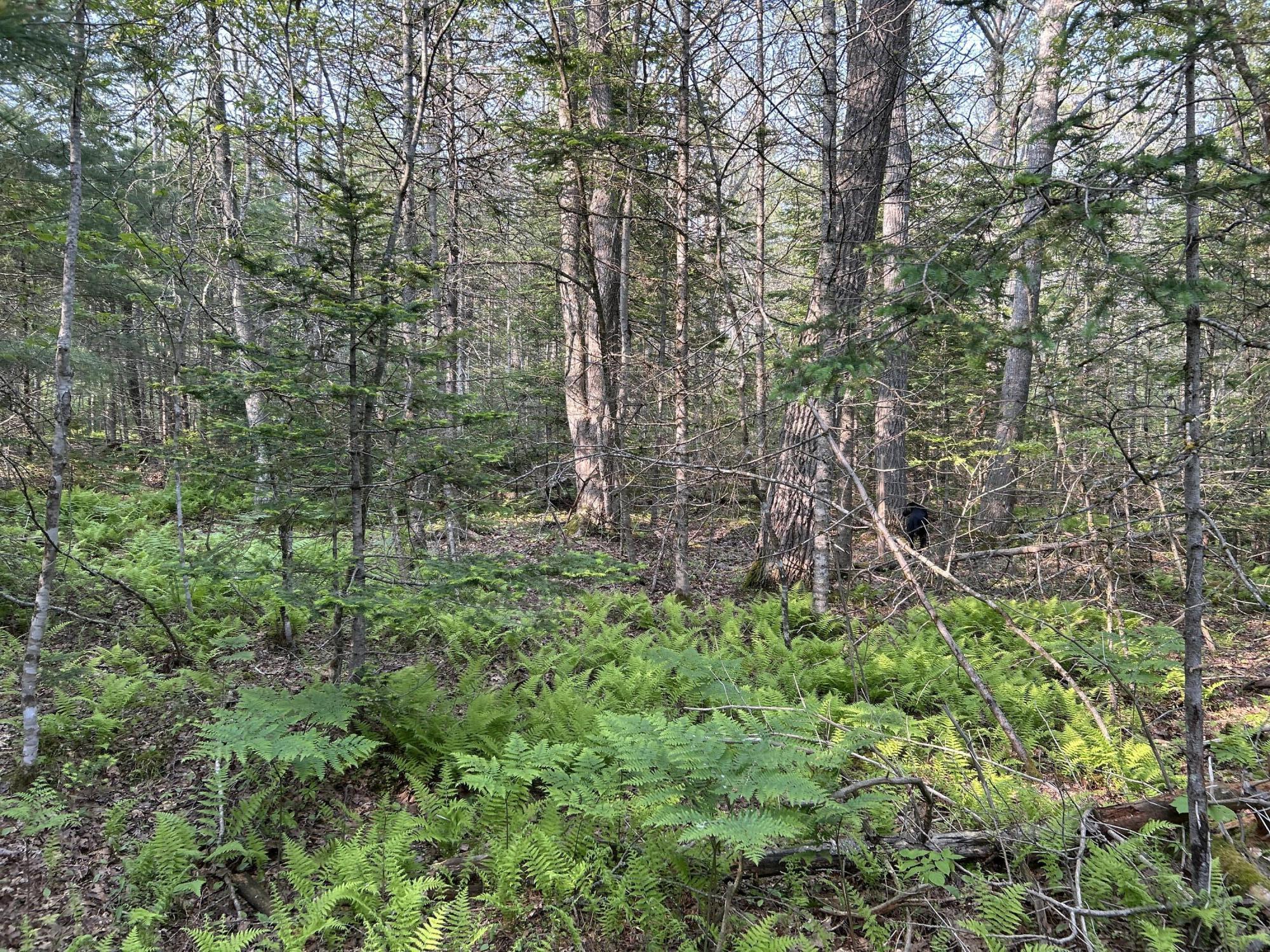 M6L53 Bristol Road Bristol ME 04539