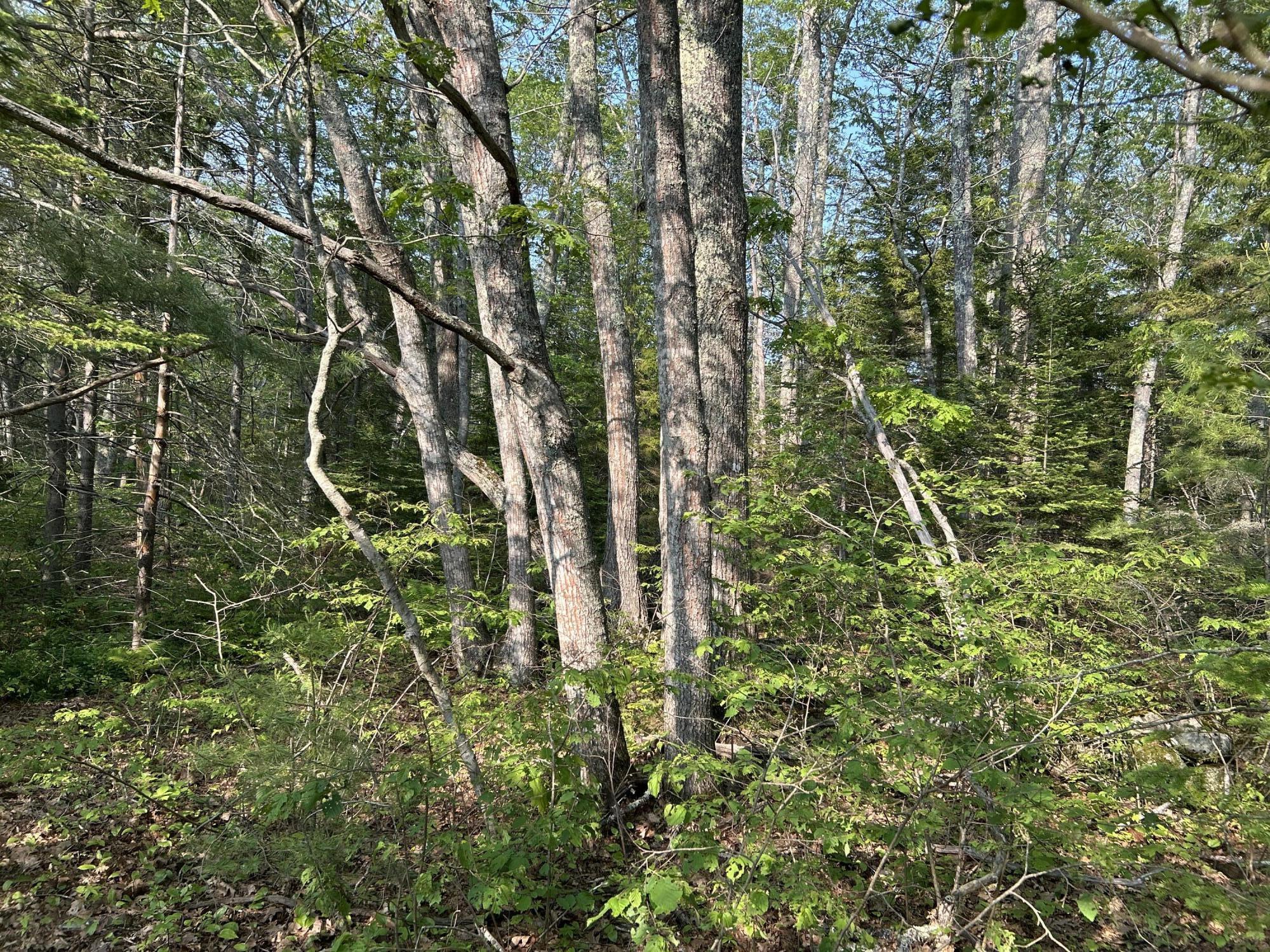 M6L53 Bristol Road Bristol ME 04539