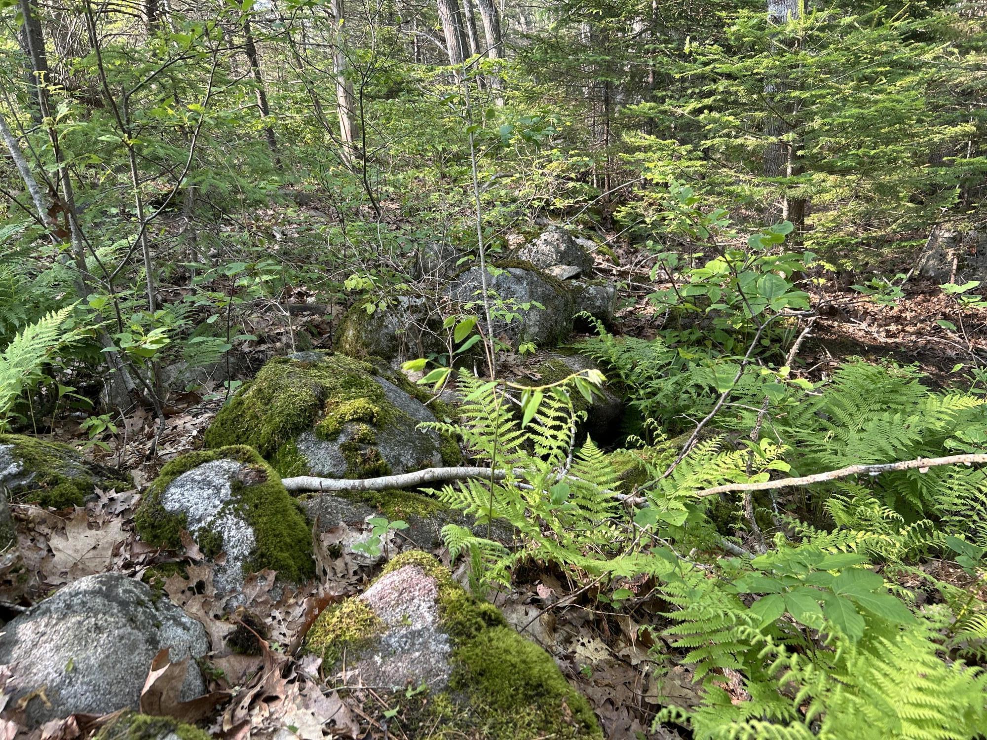 M6L53 Bristol Road Bristol ME 04539